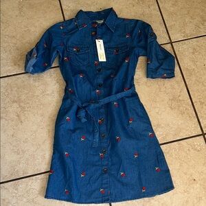 Blue Denim Shirt with Red Floral Embroidery